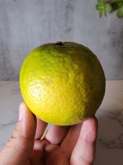 新鲜水果